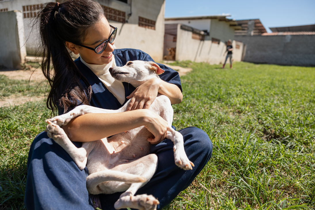 Animal Shelter Volunteer Playing with a Dog 